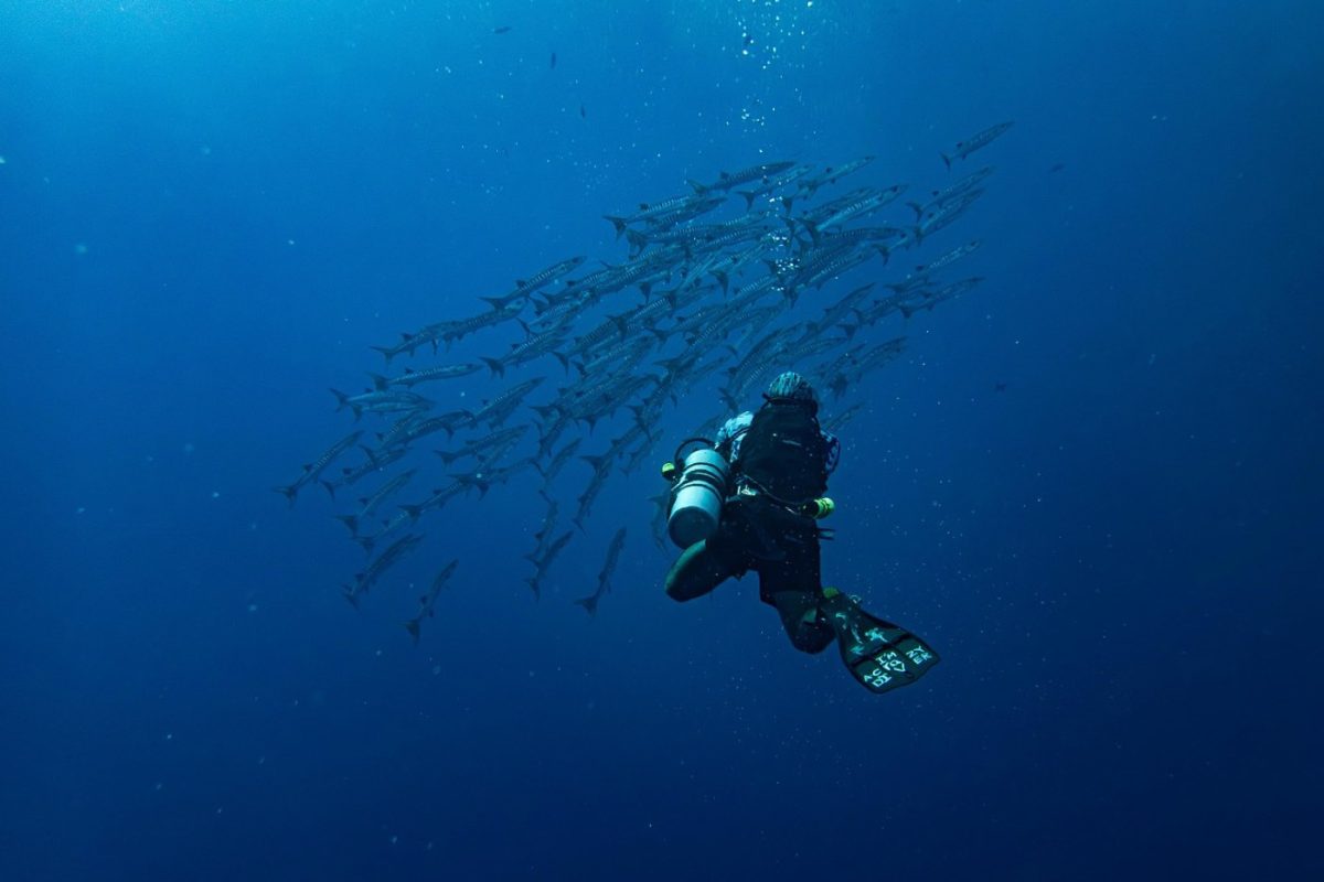 Avis Aqualung : détendeur Legend et BCD Axiom
