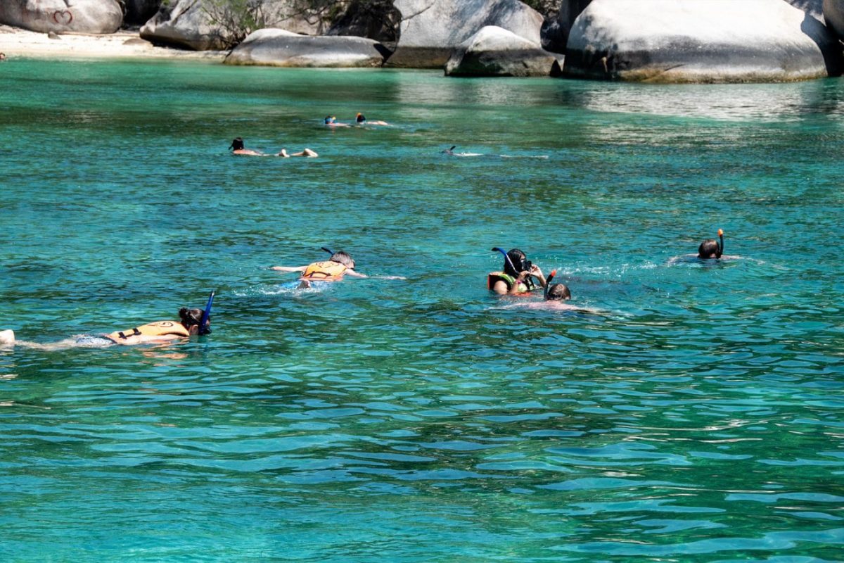 Comparatif Cressi vs Oceanic : équipement de plongée