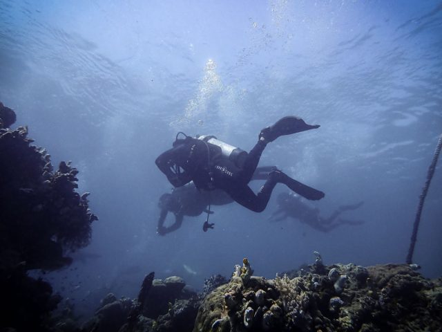 Réduire l&rsquo;impact des plongées sur les herbiers marins