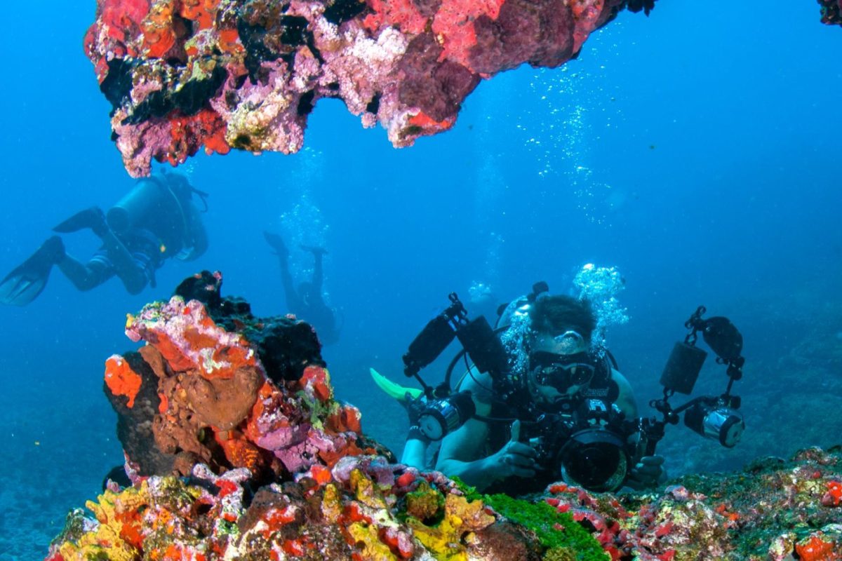 Avis GoPro HERO pour vidéographie sous‑marine