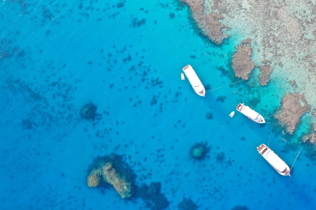 Avis voyageurs sur resort spécialisé plongée à Punta Cana